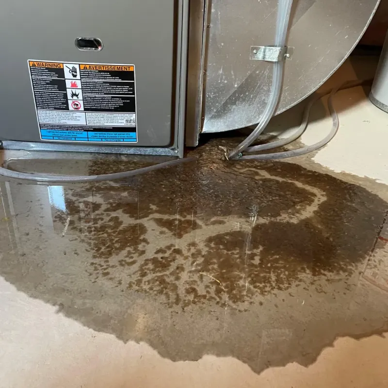 Appliance Leak Cleanup in Tanglewilde, WA